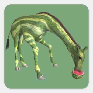 Giraffe Eating Watermelon Quadratischer Aufkleber