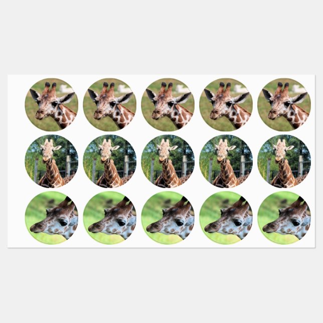 Giraffe Etiketten (Blatt)