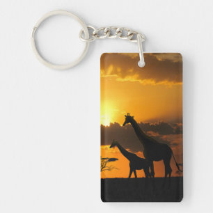 Giraffe Famille 2