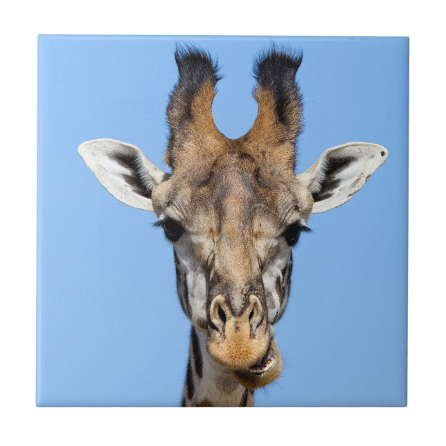 Giraffe Fliese (Vorderseite)