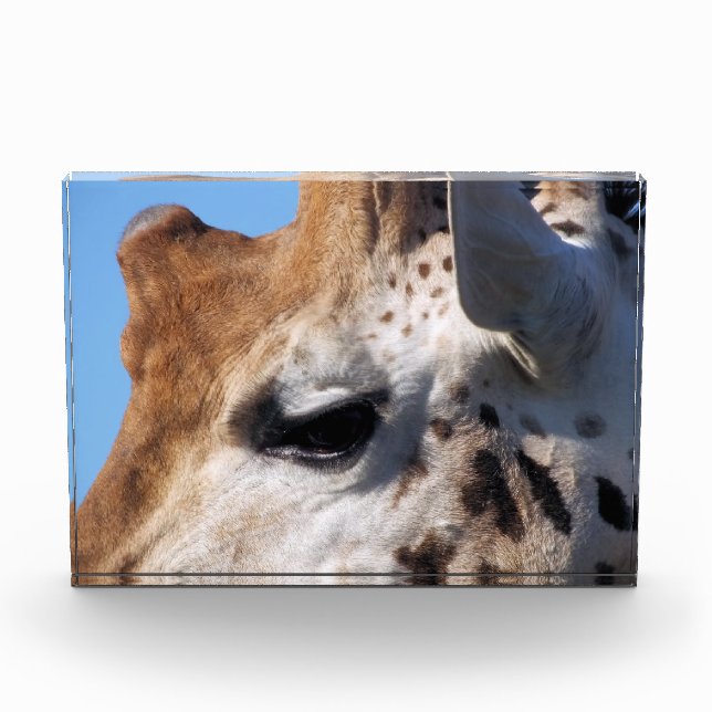 GIRAFFE FOTOBLOCK (Vorderseite)