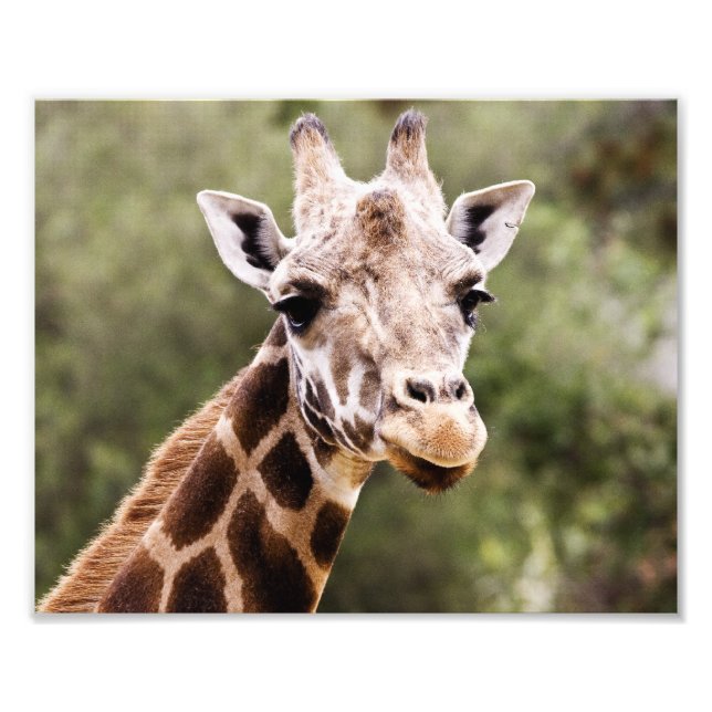 Giraffe Fotodruck (Vorne)