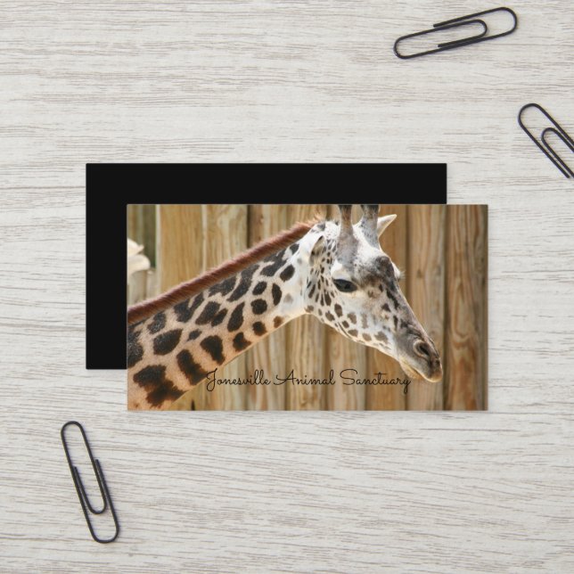 Giraffe Fotograf Business Cards Visitenkarte (Vorderseite/Rückseite Beispiel)