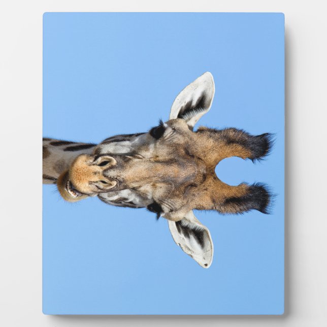 Giraffe Fotoplatte (Vorderseite)