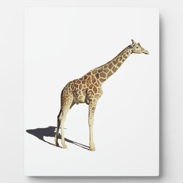 Giraffe Fotoplatte (Vorderseite)