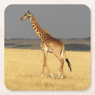 Giraffe für Afrikanische Tiere Rechteckiger Pappuntersetzer