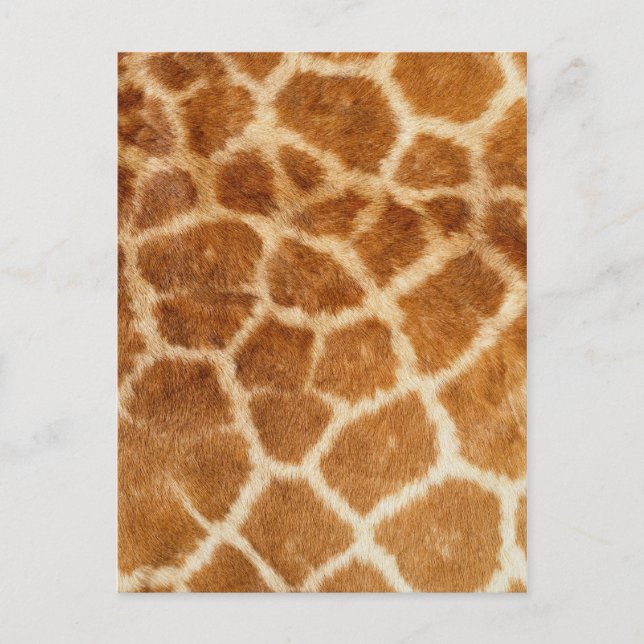 Giraffe Fur Print Postkarte (Vorderseite)