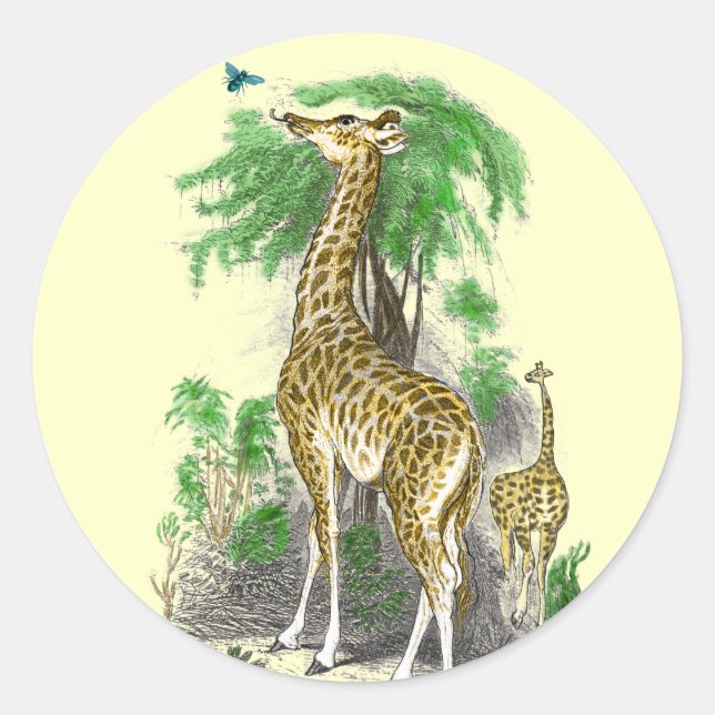 Giraffe Geburtstagskleber Runder Aufkleber (Vorderseite)