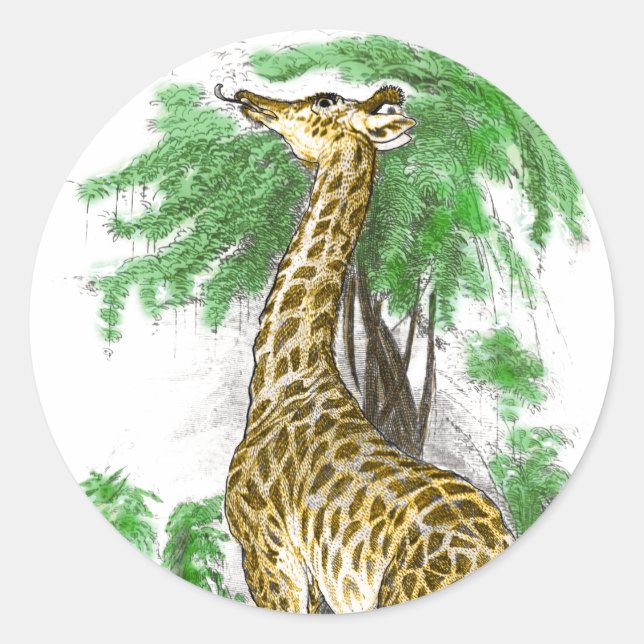 Giraffe Geschenke Runder Aufkleber (Vorderseite)