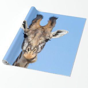 Giraffe Geschenkpapier