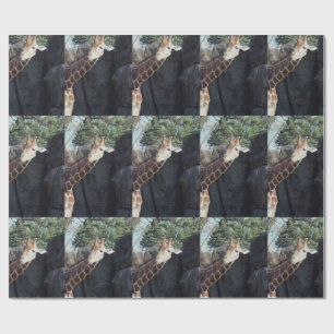 Giraffe Geschenkpapier
