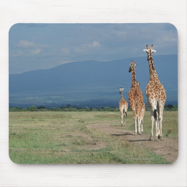 Giraffe (Giraffa camelopardalis) 2 Mousepad (Vorne)