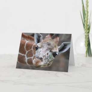 Giraffe Grußkarte Karte