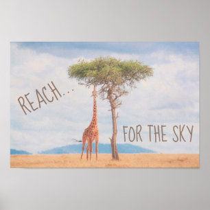 Giraffe Hoher Baum Savanne Erreiche Himmel Motivie Poster
