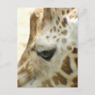 Giraffe I Postkarte