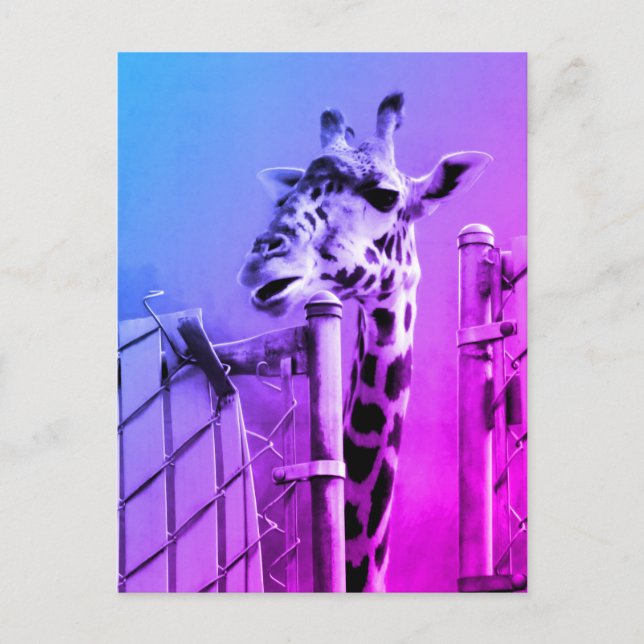 Giraffe im Zoon Postkarte (Vorderseite)