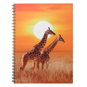 Giraffe in der afrikanischen Savanne gegen den Bac Notizblock
