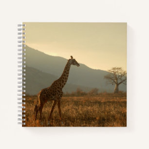 Giraffe in der Savannah Notizbuch