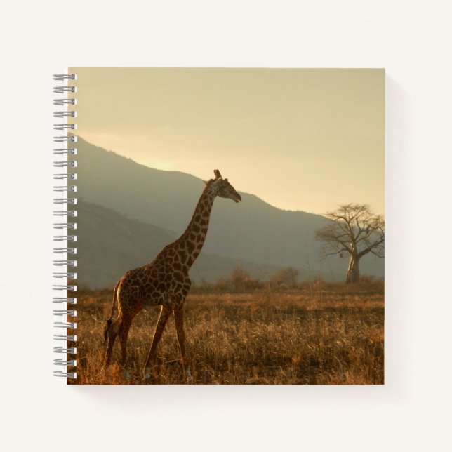 Giraffe in der Savannah Notizbuch (Vorderseite)