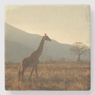 Giraffe in der Savannah Steinuntersetzer