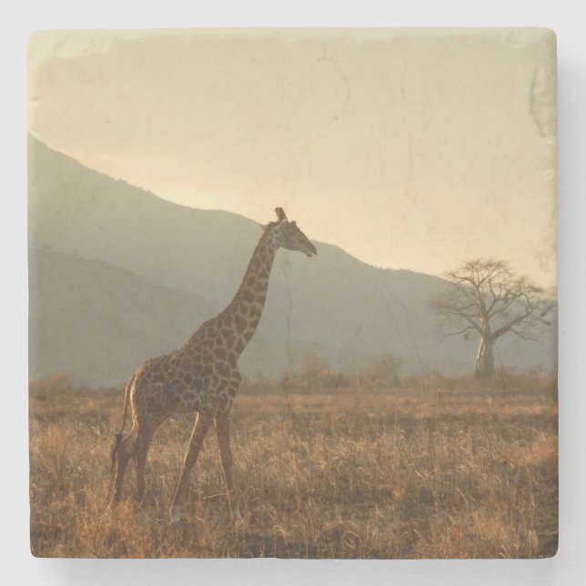 Giraffe in der Savannah Steinuntersetzer (Vorderseite)