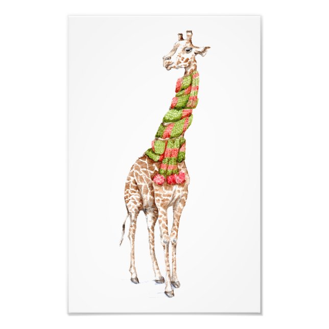 Giraffe in einem Scarf Fotodruck (Vorne)