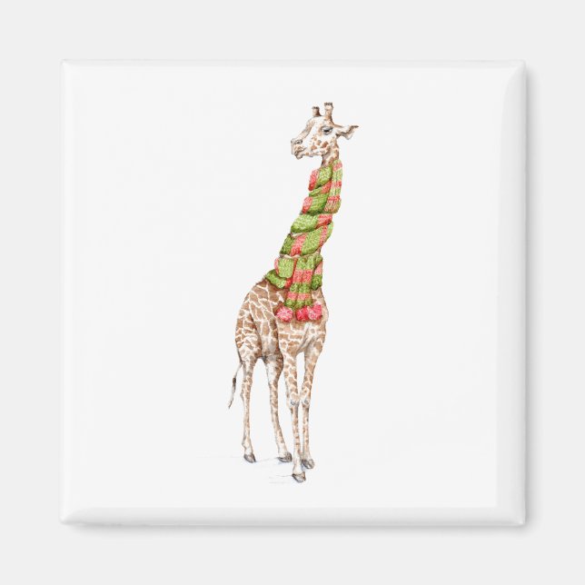 Giraffe in einem Scarf Magnet (Vorne)