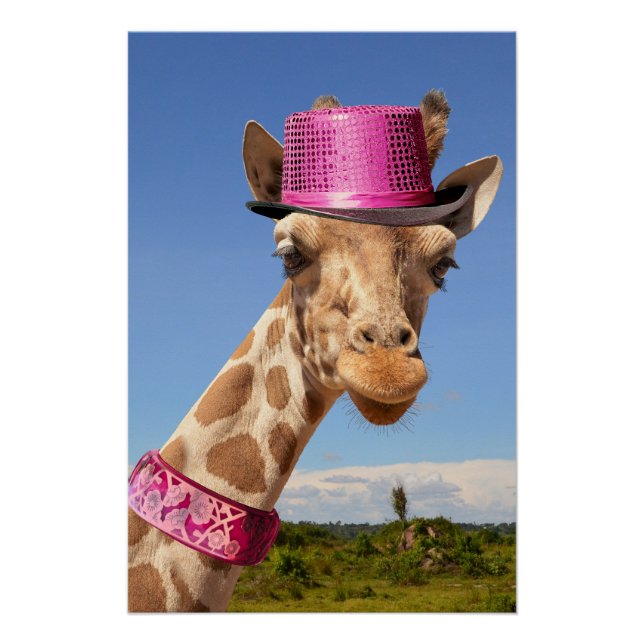 Giraffe in funkelnd-rosa Hut Poster (Vorderseite)