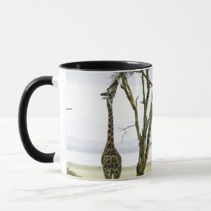 Giraffe in Kenia, Afrika Tasse