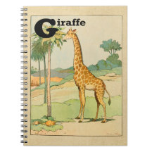 Giraffe in the Desert