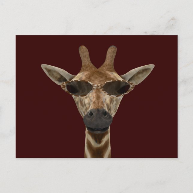 Giraffe Incognito Postkarte (Vorderseite)