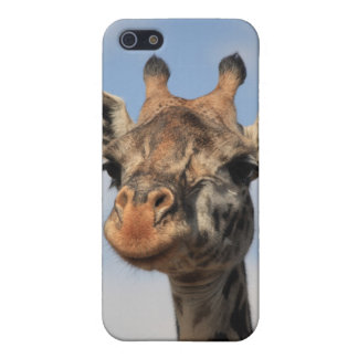 Giraffe Hülle Fürs iPhone 5
