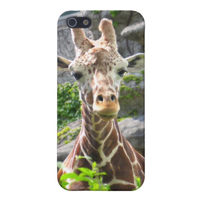 Giraffe iPhone Hülle (Hinten)