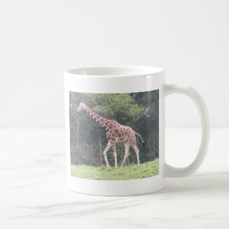 Giraffe Kaffeetasse