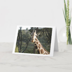 Giraffe Karte