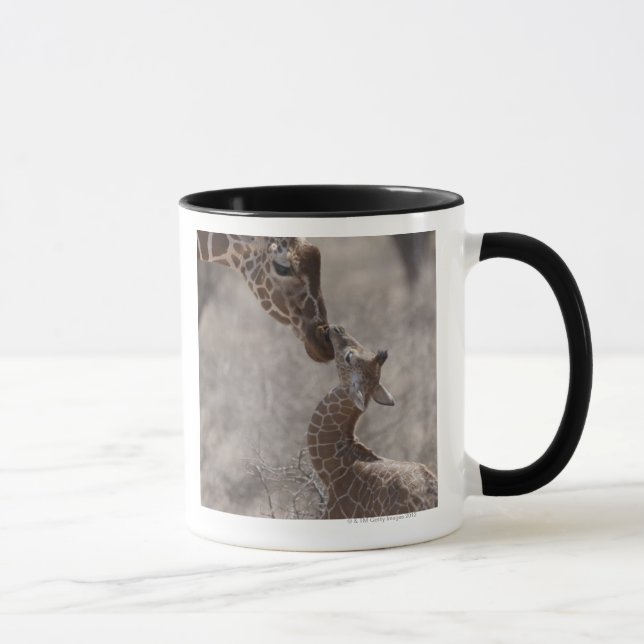 Giraffe, Kenia, Afrika Tasse (Rechts)
