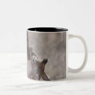Giraffe, Kenia, Afrika Zweifarbige Tasse
