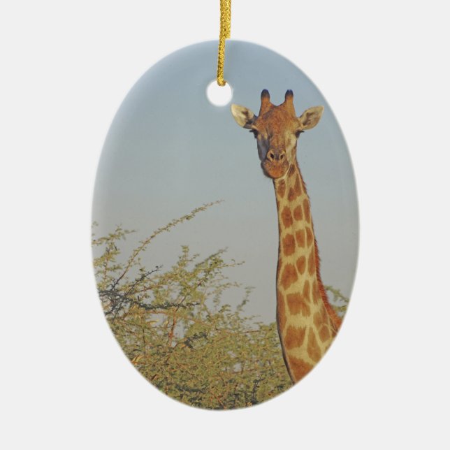 GIRAFFE KERAMIK ORNAMENT (Vorne)