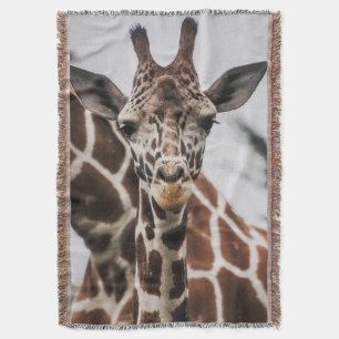 Giraffe, Kopf Giraffe, Pelzabdruck Afrikanisches T Decke