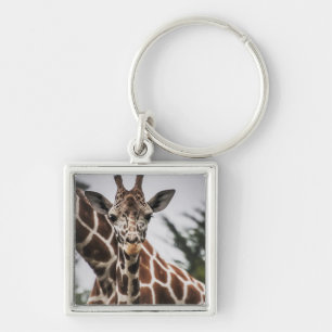 Giraffe, Kopf Giraffe, Pelzabdruck Afrikanisches T Schlüsselanhänger