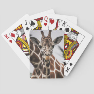 Giraffe, Kopf Giraffe, Pelzabdruck Afrikanisches T Spielkarten