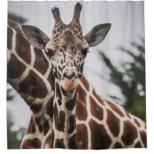 Giraffe Kopf Giraffe Pelzprint Afrikanisches Tier Duschvorhang