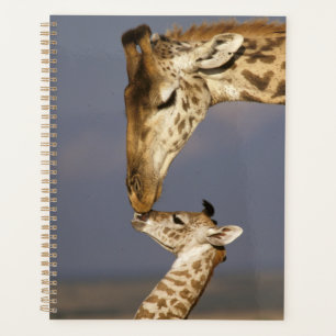 Giraffe küssen Baby-Giraffe Planer