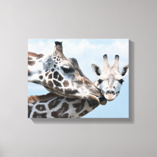 Giraffe küsst ihr Kalb Leinwanddruck