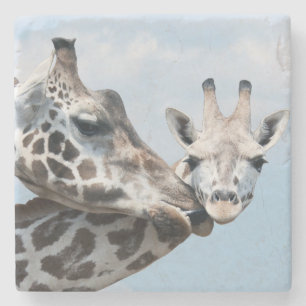 Giraffe küsst ihr Kalb Steinuntersetzer