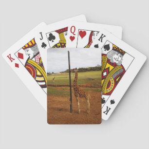 Giraffe leckt seinen Pole, Spielkarten