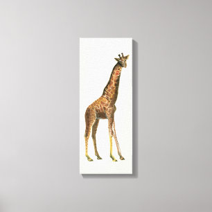 Giraffe Leinwanddruck