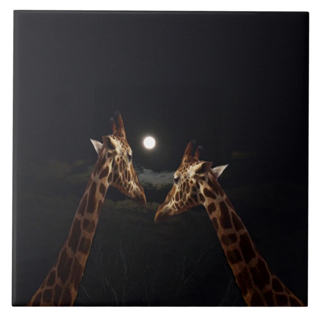 Giraffe Liebe im Mondschein, Fliese (Vorderseite)