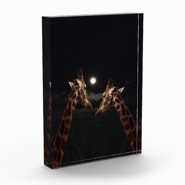 Giraffe Liebe im Mondschein, Fotoblock (Links)