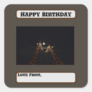 Giraffe Liebe im Mondschein, Geburtstag Quadratischer Aufkleber